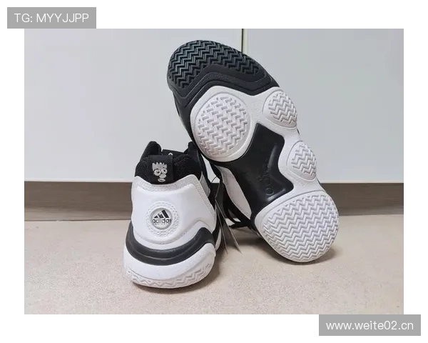 托尼娅·哈丁当年那双冰鞋，现在够买套房了？