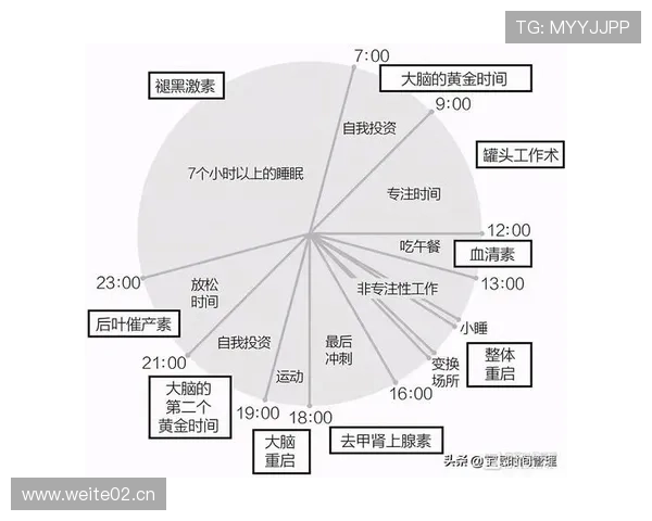 篮球比赛中的计时规则如何运行？详细解析机制与时间管理技巧